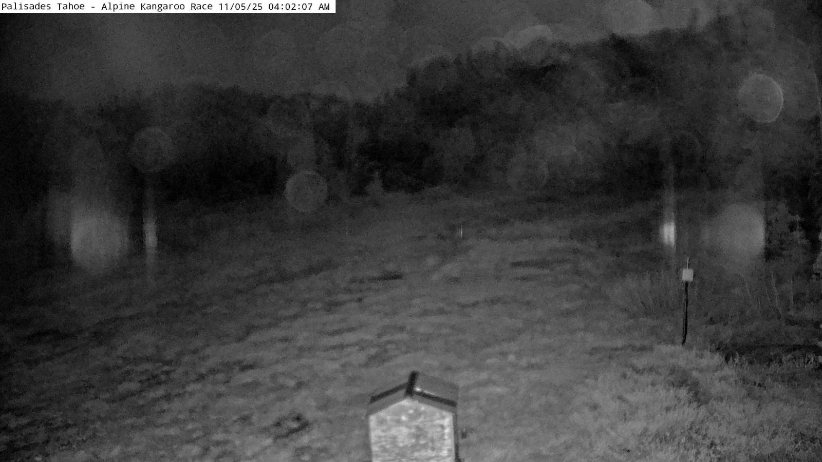 Webcam Alpine Meadows: Alpine Race Cam