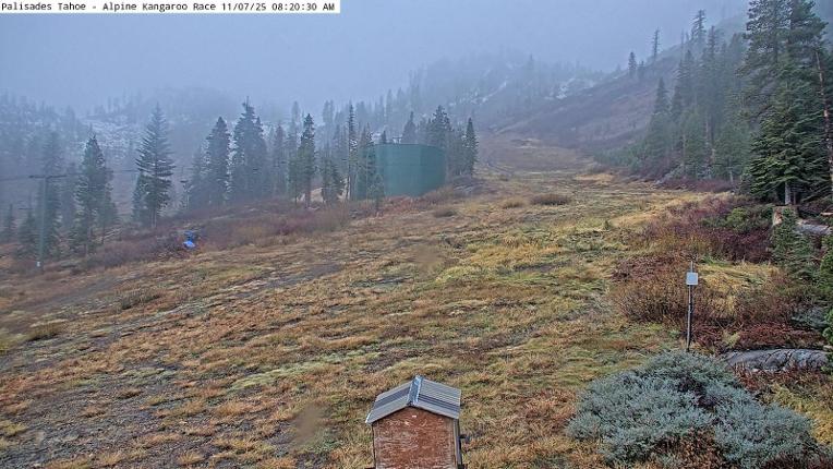 Webcam Alpine Meadows: Alpine Race Cam
