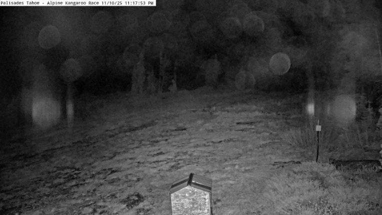 Webcam Alpine Meadows: Alpine Race Cam