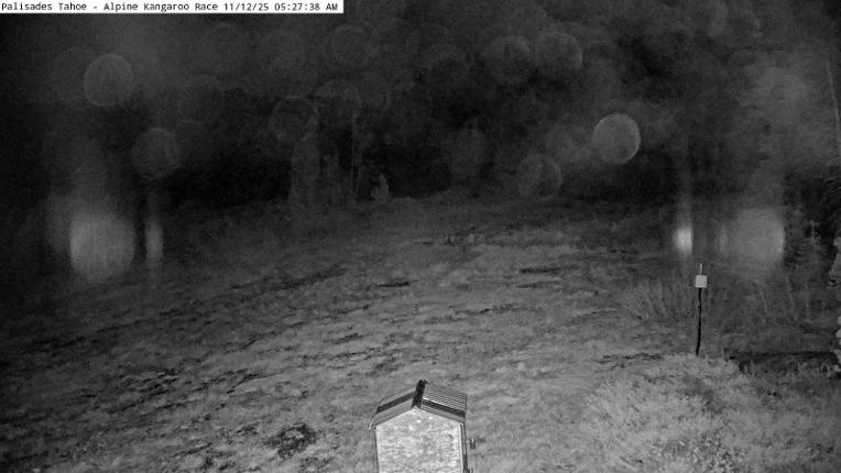 Webcam Alpine Meadows: Alpine Race Cam