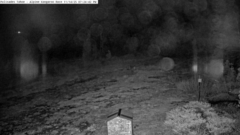 Webcam Alpine Meadows: Alpine Race Cam