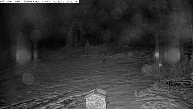 Webcam Alpine Meadows: Alpine Race Cam