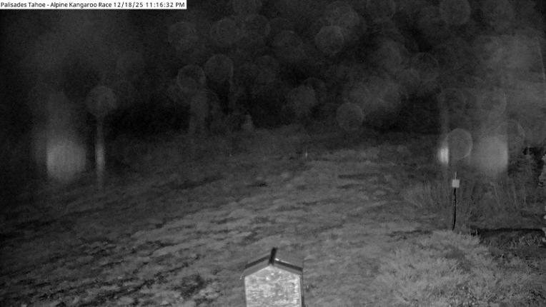 Webcam Alpine Meadows: Alpine Race Cam