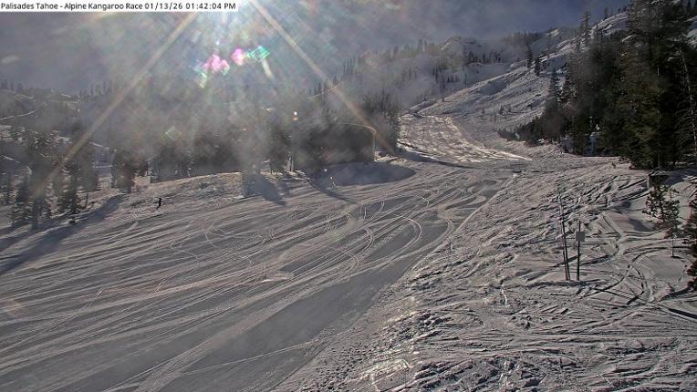 Webcam Alpine Meadows: Alpine Race Cam