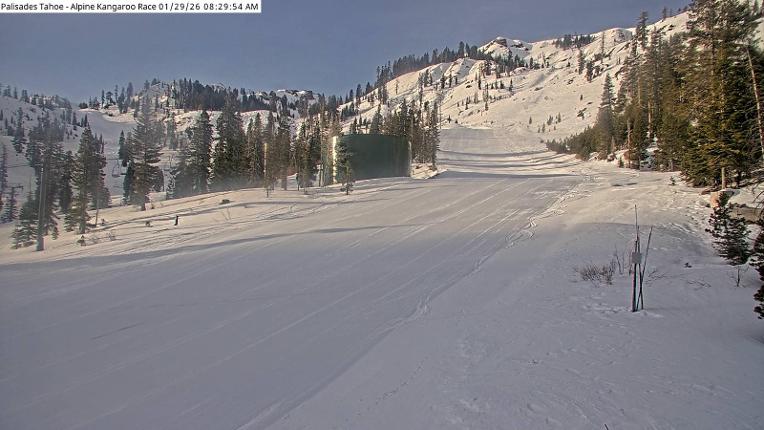 Webcam Alpine Meadows: Alpine Race Cam