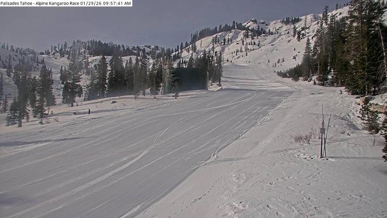 Webcam Alpine Meadows: Alpine Race Cam