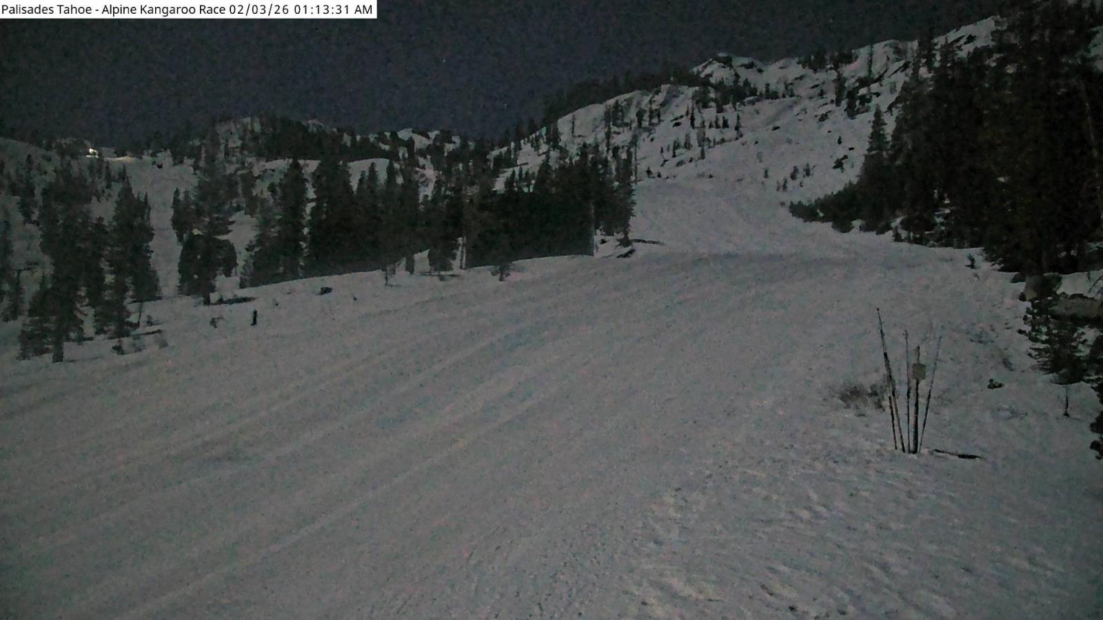 Webcam Alpine Meadows: Alpine Race Cam