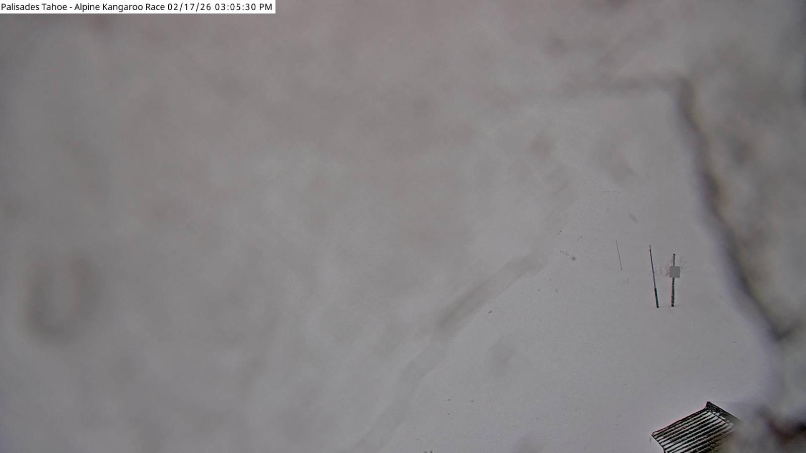 Webcam Alpine Meadows: Alpine Race Cam