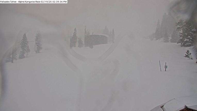 Webcam Alpine Meadows: Alpine Race Cam