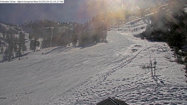 Webcam Alpine Meadows: Alpine Race Cam