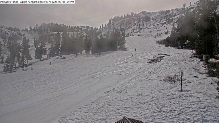Webcam Alpine Meadows: Alpine Race Cam