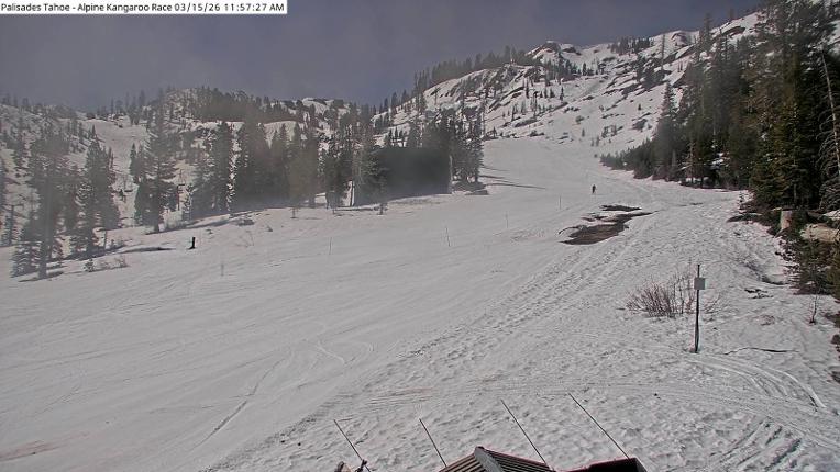 Webcam Alpine Meadows: Alpine Race Cam
