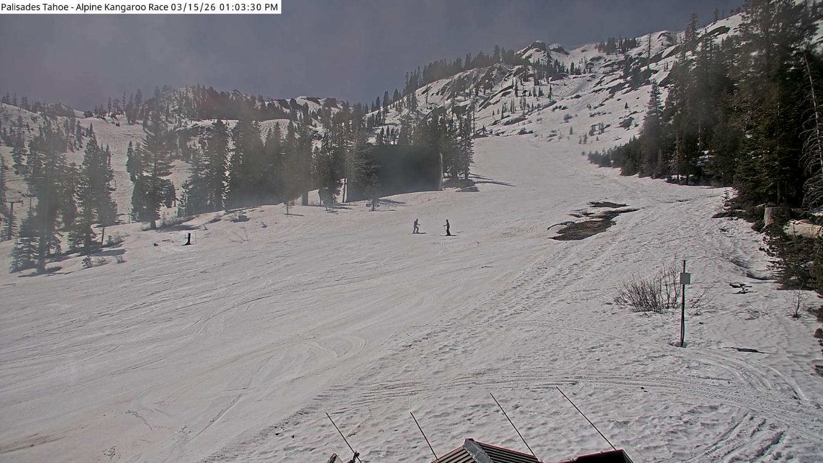 Webcam Alpine Meadows: Alpine Race Cam