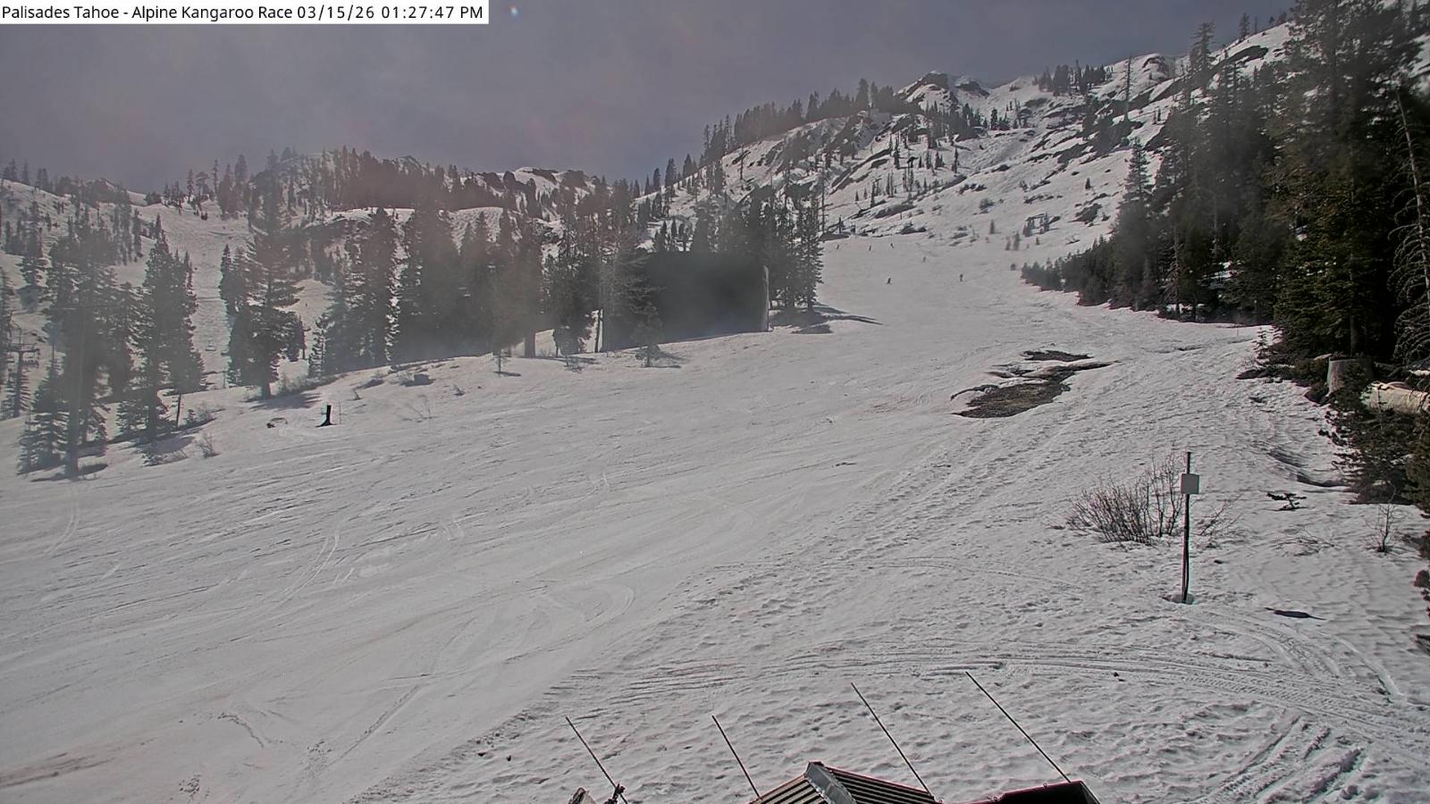 Webcam Alpine Meadows: Alpine Race Cam