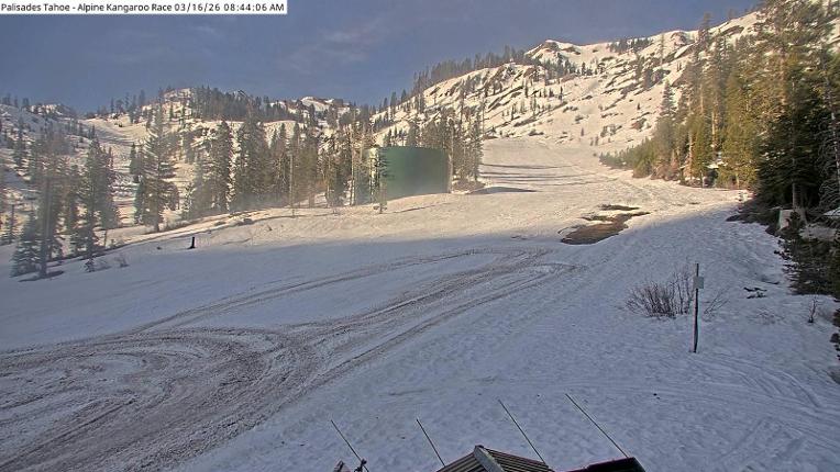 Webcam Alpine Meadows: Alpine Race Cam