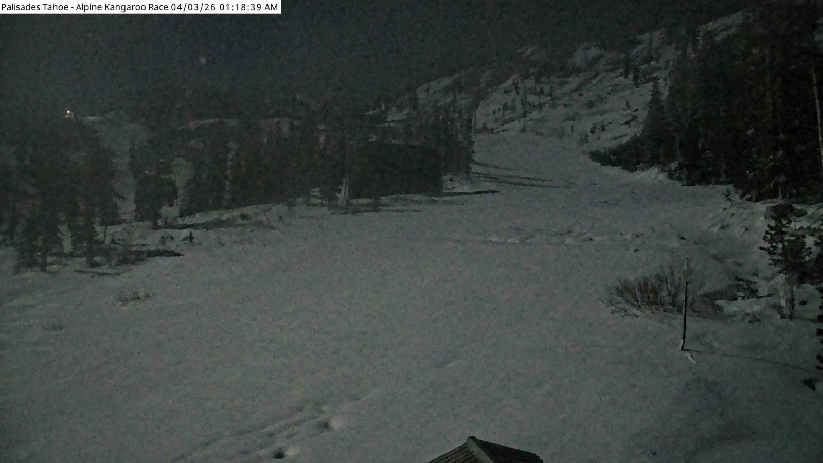 Webcam Alpine Meadows: Alpine Race Cam