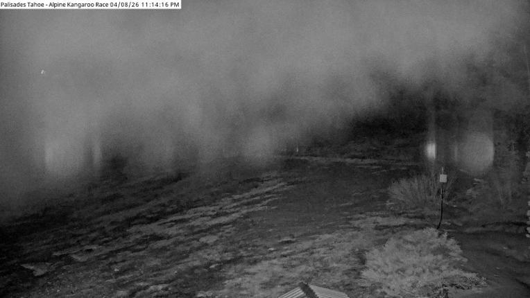 Webcam Alpine Meadows: Alpine Race Cam