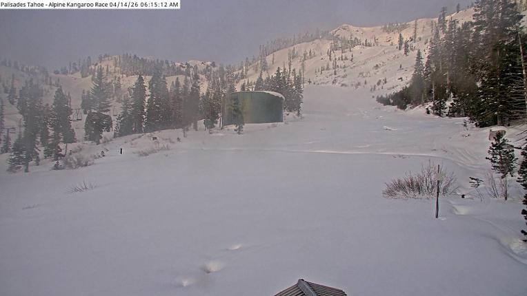 Webcam Alpine Meadows: Alpine Race Cam