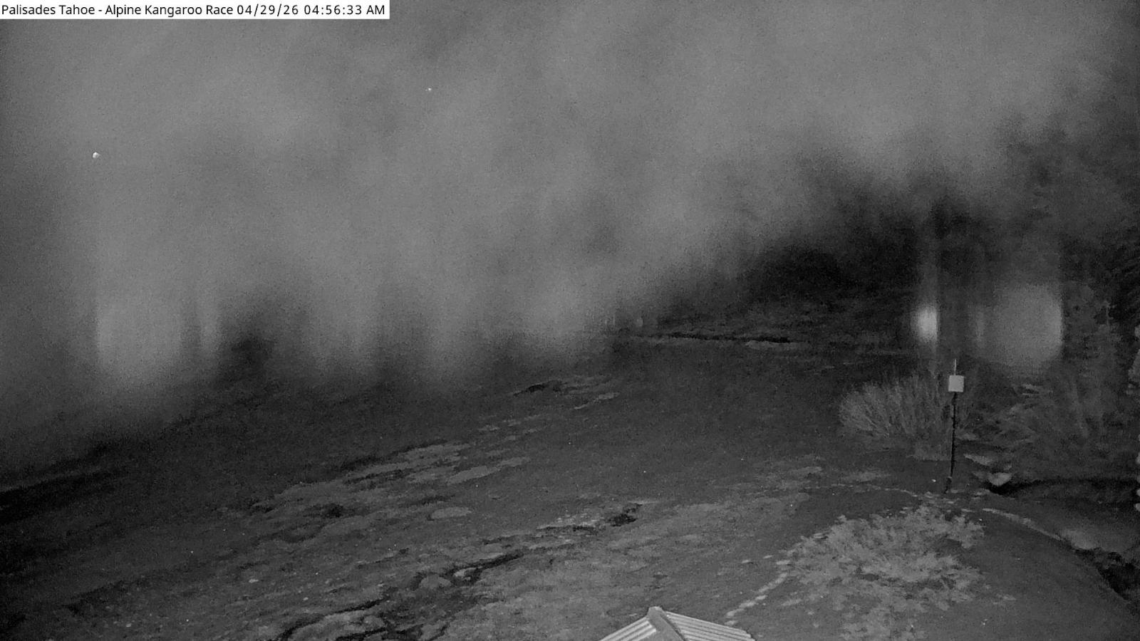 Webcam Alpine Meadows: Alpine Race Cam