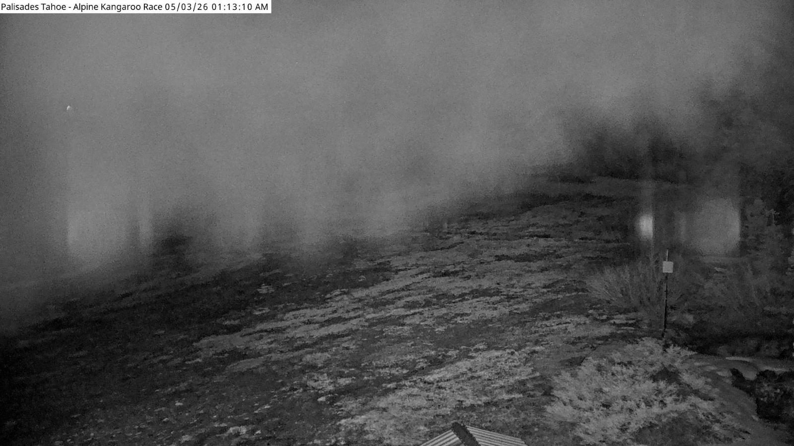 Webcam Alpine Meadows: Alpine Race Cam
