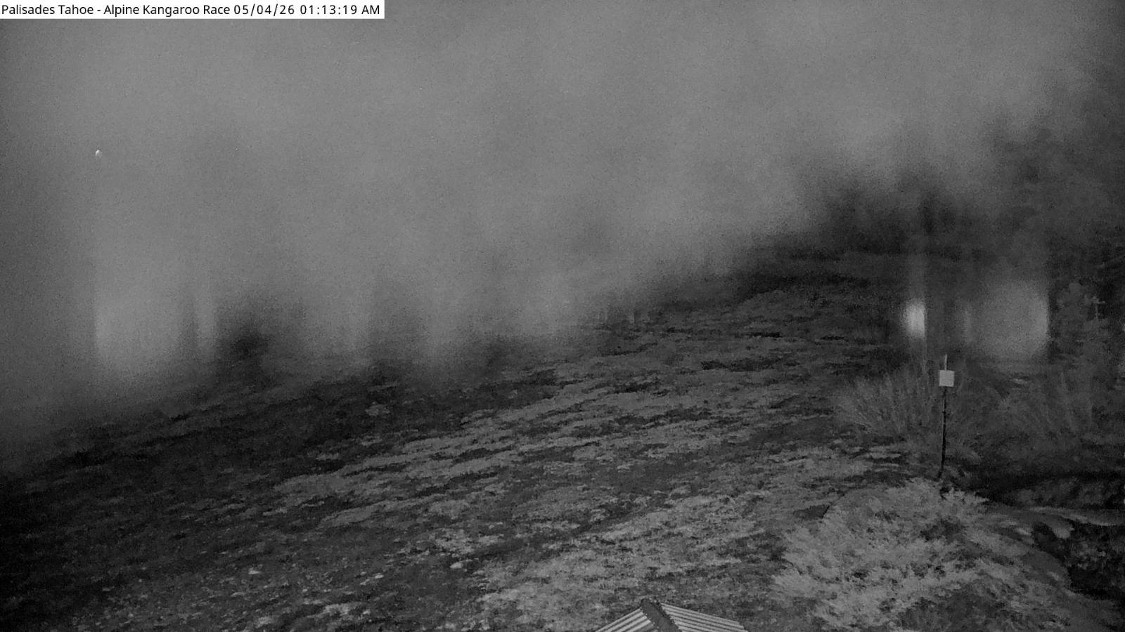 Webcam Alpine Meadows: Alpine Race Cam