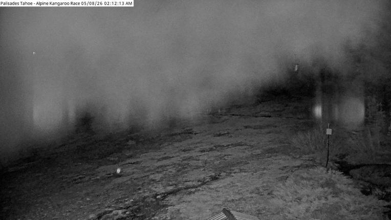 Webcam Alpine Meadows: Alpine Race Cam