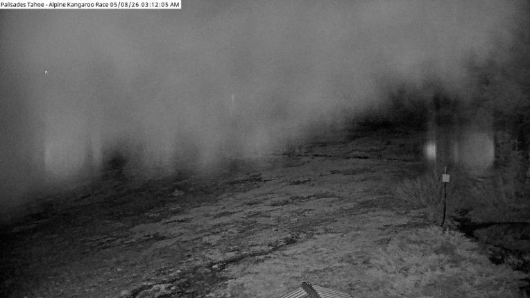 Webcam Alpine Meadows: Alpine Race Cam
