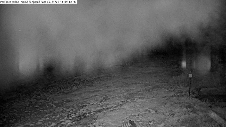Webcam Alpine Meadows: Alpine Race Cam