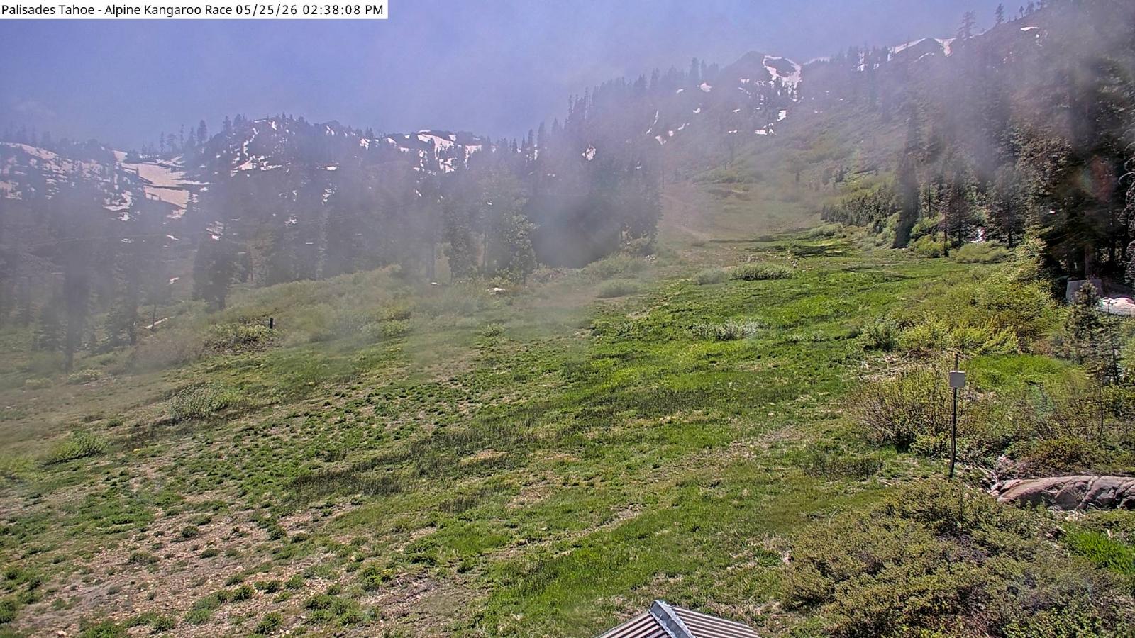 Webcam Alpine Meadows: Alpine Race Cam