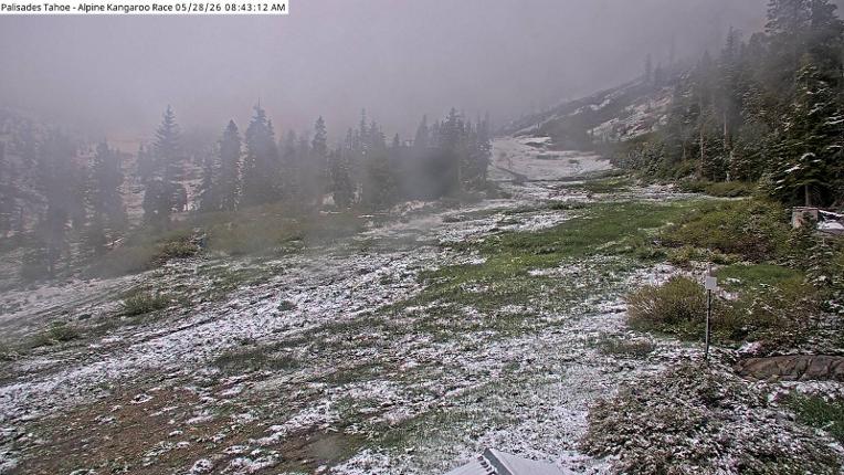 Webcam Alpine Meadows: Alpine Race Cam