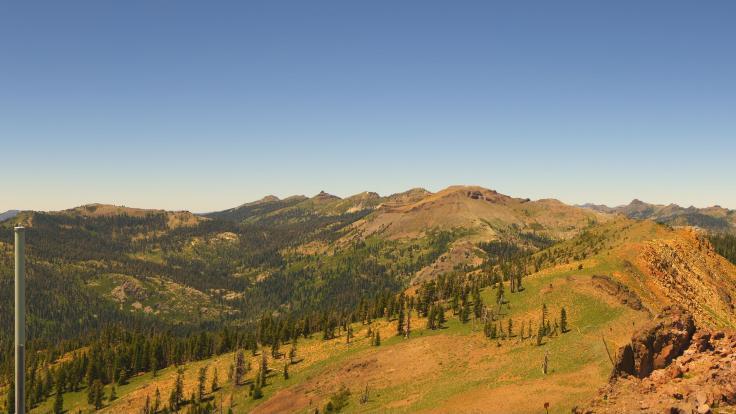 Webcam Alpine Meadows: Panoramic