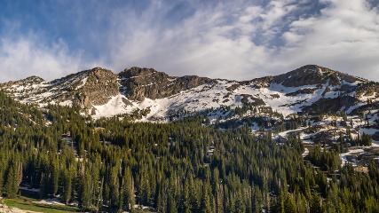Alta: Alta (alta.com)
