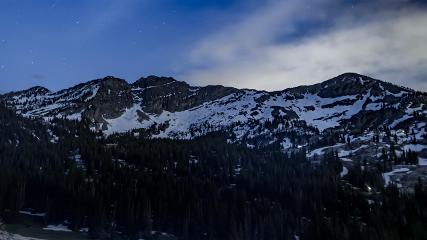 Alta: Alta (alta.com)