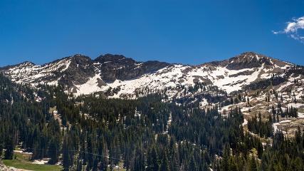 Alta: Alta (alta.com)