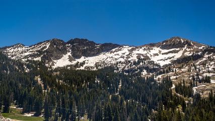 Alta: Alta (alta.com)