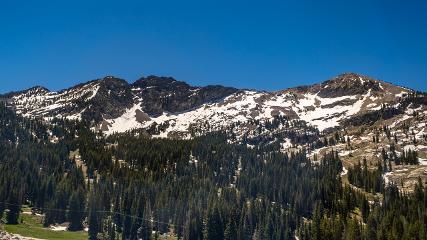 Alta: Alta (alta.com)