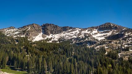 Alta webcam