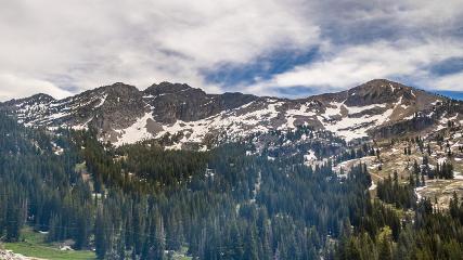 Alta: Alta (alta.com)