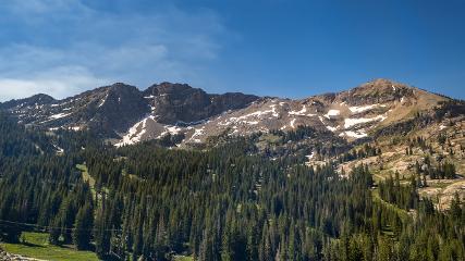 Alta: Alta (alta.com)
