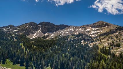 Alta webcam