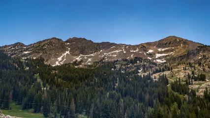 Alta: Alta (alta.com)