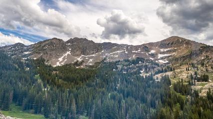 Alta: Alta (alta.com)