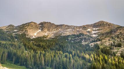 Alta: Alta (alta.com)