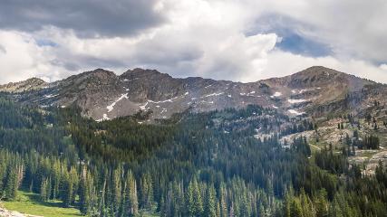 Alta: Alta (alta.com)