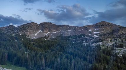 Alta: Alta (alta.com)