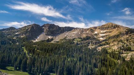 Alta: Alta (alta.com)