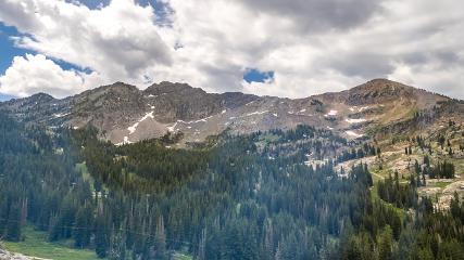 Alta: Alta (alta.com)