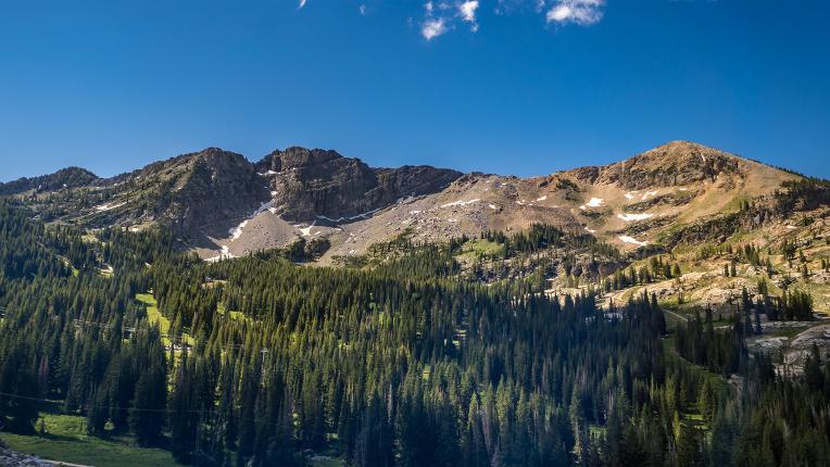 Webcam Alta: Alta