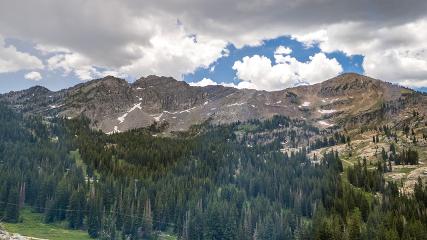 Alta: Alta (alta.com)