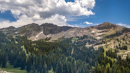Alta: Alta (alta.com)